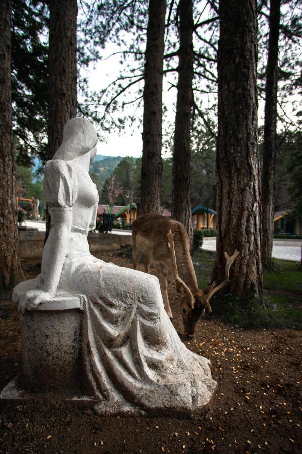 Te'Dreri - Llogora Tourist Village เดอร์มี ภายนอก รูปภาพ